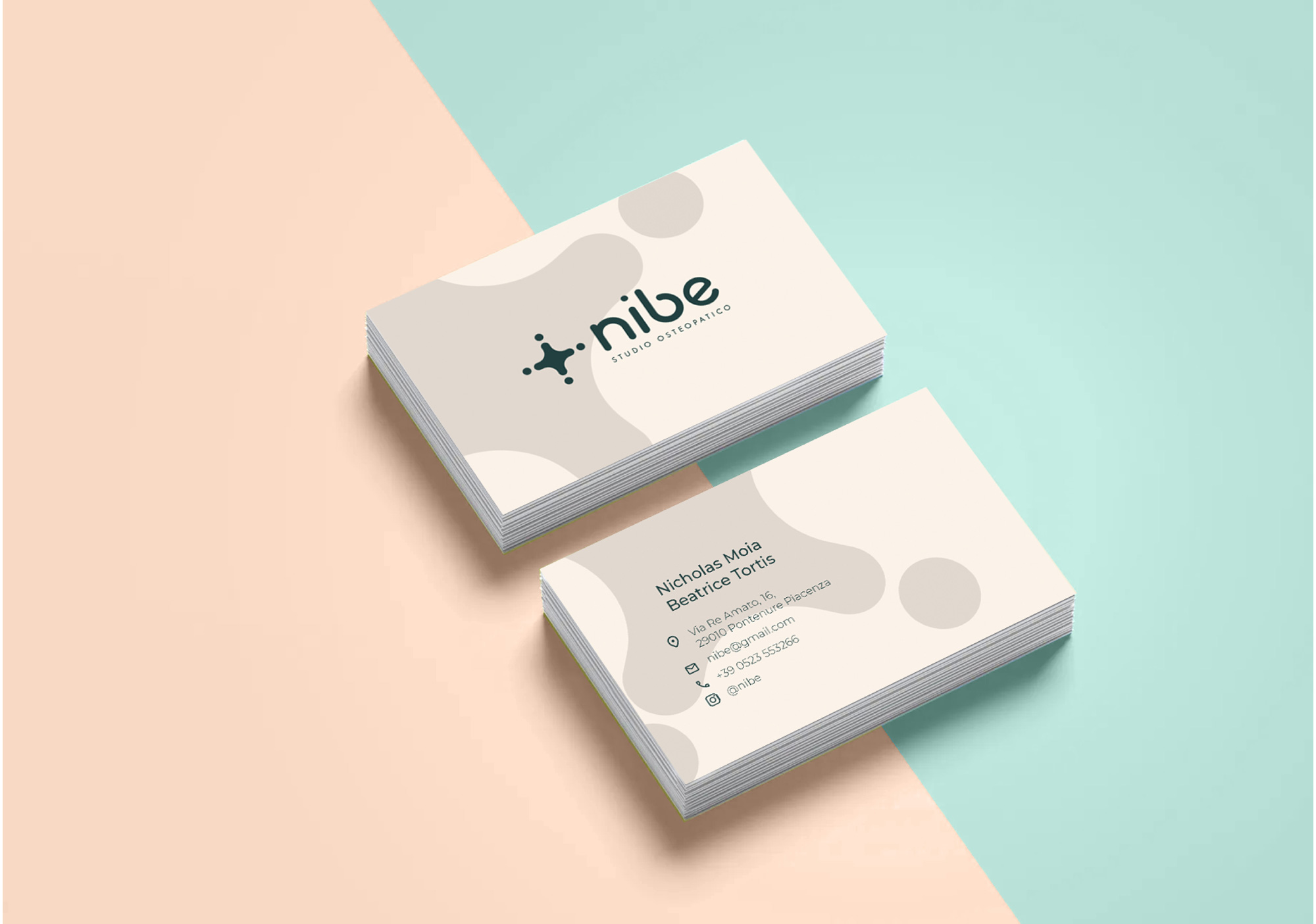 biglietto da visita Nibe
