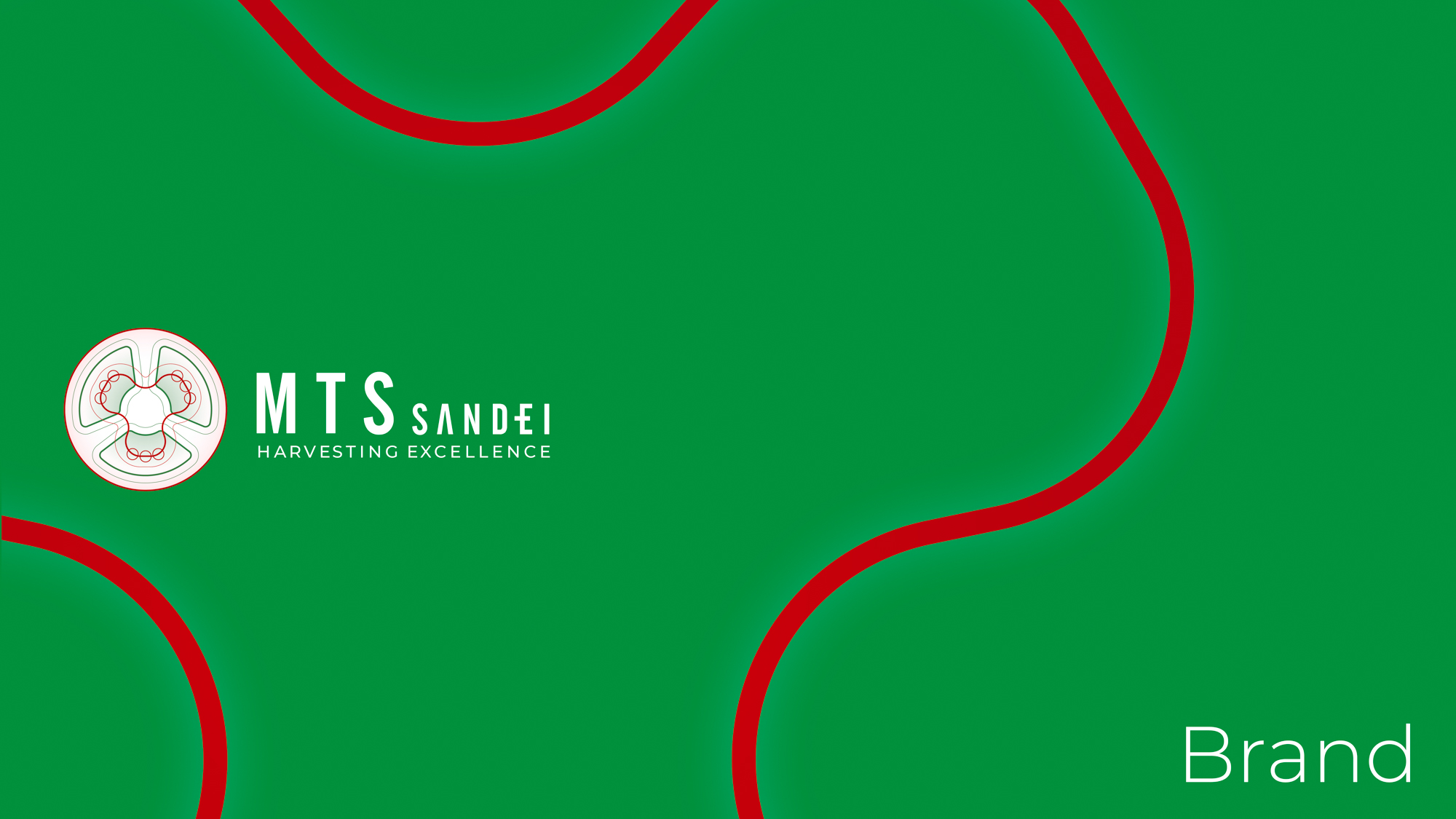Logo MTS Sandei
