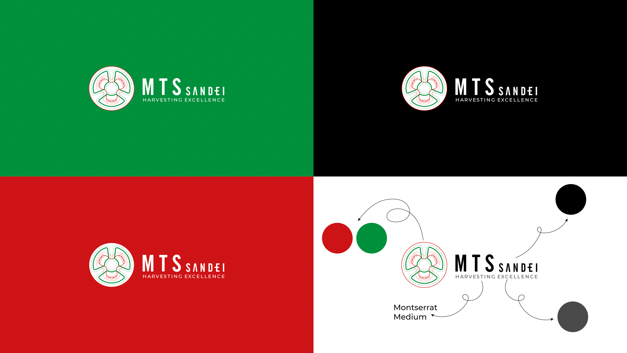 Colori Refresh brand MTS Sandei